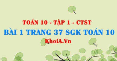 Bài 1 trang 37 SGK Toán 10 tập 1 Chân trời sáng tạo